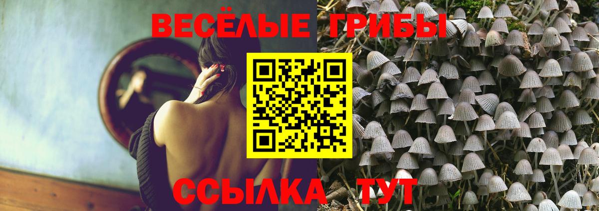 Крымск  Псилоцибиновые грибы прущие грибы  купить   Вход с VPN 